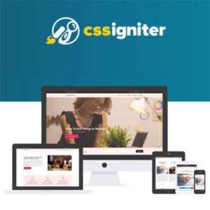 Image of CSS Igniter Spencer WordPress Theme