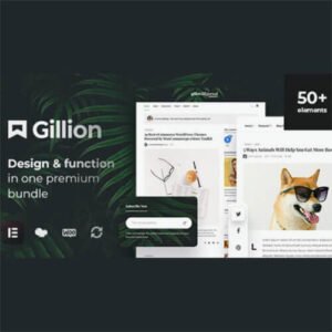 image of Gillion Multi Concept Blog Magazine & Shop WordPress AMP Theme